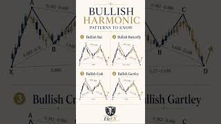 4 Bullish Harmonic Patterns Explained | Find the Real Reversal Zone