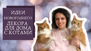 9 идей украшения дома, в котором живут коты