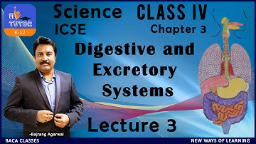 ICSE | Class IV  | Science | Digestive And Excretory Systems | Chapter 3 | Lecture 3