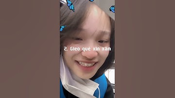 Mùng 1 Tết: Tips cho du học sinh tận hưởng không khí Tết trọn vẹn như ở Việt Nam