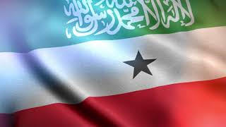 Somaliland Waving Flag Calanka Somaliland Caqilka Store