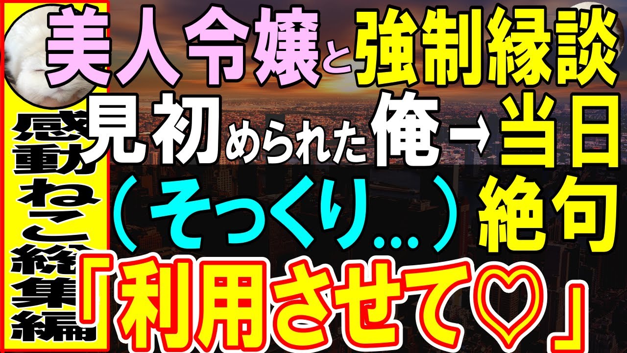 【感動する話】結婚諦めた36歳派遣の俺に女社長が取引先の令嬢と強制縁談→ 命令なので断れず当日相手の顔を見て、俺は絶句「え？どうしよう…」【いい話・泣ける話・朗読】