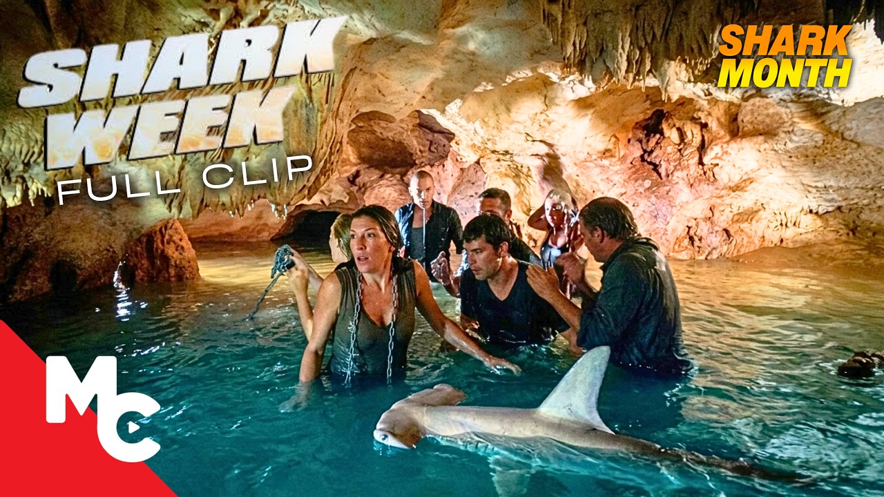 They Were Chained Together In A Cave With A Hammerhead Shark | Shark Week | Movie Clip