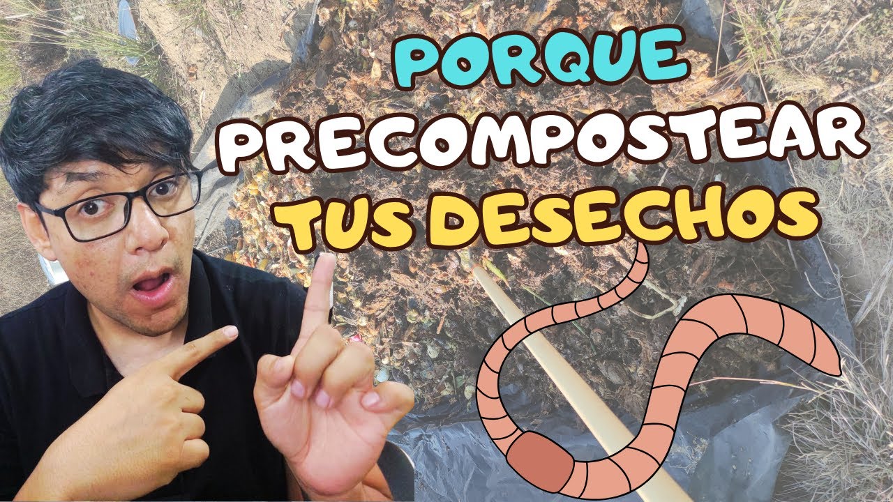 😱PRECOMPOSTAJE PARA ALIMENTAR tus LOMBRICES /Roja Californiana