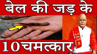 बेल की जड़ पहनने के 10 फायदे | Pandit Suresh Pandey | Darshan24