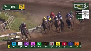 Vidéo de la course PMU PRIX HIELO SUR