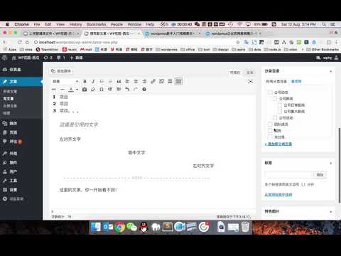 wordpress新手入门视频教程4.1 – 页面/文章编辑器新手入门教程