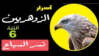 الزوهرية و الزوهريين .. حقيقته الانسان الزوهري و علامات الزوهريين .. كيف تعرف انك زوهري ؟