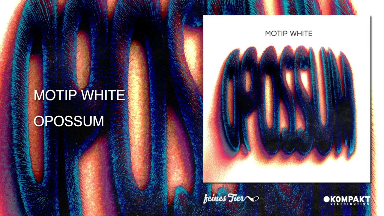 Motip White - Opossum [Feines Tier]