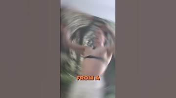 Bryan Johnson Meet the man who plans to not die  Ever