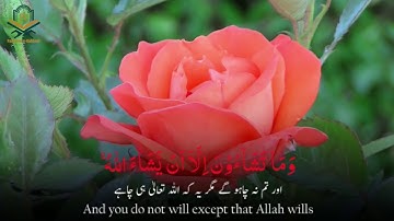 Surah Al insan سورة الإنسان | English urdu Translation |