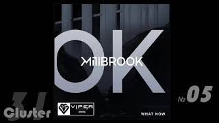 09.Millbrook - What Now (Original Mix)(Drum Bass)