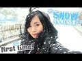 THE PERFECT TIME TO SEE SNOW IN SOUTH KOREA!! | Trip to Korea Vlog