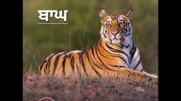 🚴♂Morning Slide🚴♂(11-11-25)@departmentofschooleducationpunjab