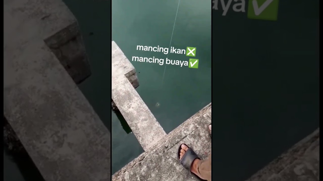 mencoba peruntungan dengan mengangkat buaya #short