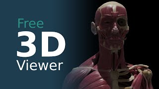 FREE Human Anatomy 3D Viewer New Update screenshot 2