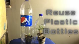 Don’t Throw Away Plastic Bottles! Seedling Pots and GreenHouses