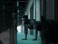 The Weird Path To Greatness