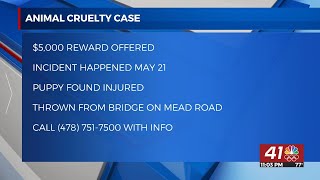 $5,000 reward offered for information on puppy thrown from bridge in Macon