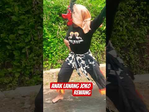 anak lanang joko rewang #shorts #anaklanang #jokorewang