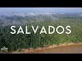 NO CREERÁS esto de la AMAZONÍA || Podcast # 2 CaminanTr3s