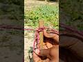 The Fastest Knot for Poles – This Genius Trick Changes Everything