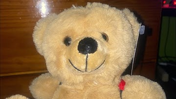 Unboxing BooBuddy Jr EMF Trigger Bear