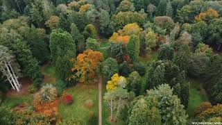 Autumn colour changes in the Forest of Dean!