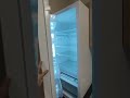 19 ноября 2024 г.
