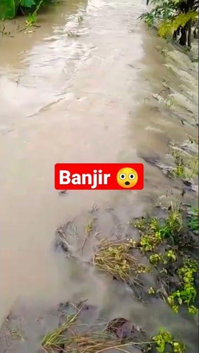 sungai meluap banjir di bantaran kali citanduy... #viral #share #trending #video #shortvideo