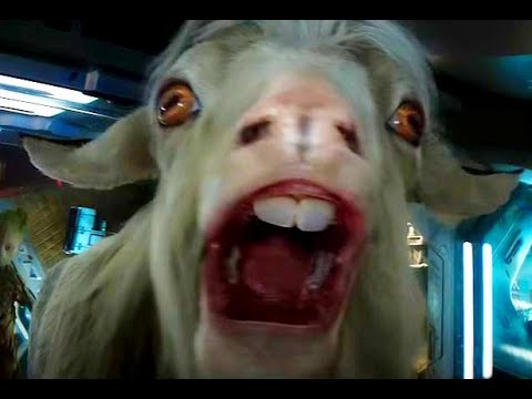 Видео: Тор от кози тор: Кози тор в градината