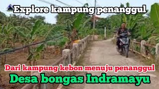 Explore blok penanggul desa bongas kecamatan bongas Indramayu