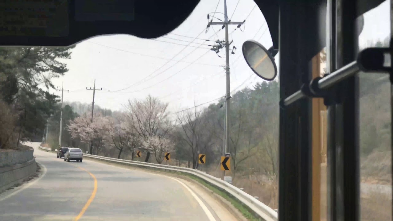 영주 버스 20번 영주여객 ~ 무섬마을 주행영상 korea small city Youngju bus video