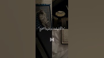 ارح سمعك مع لقارئ عبدالرحمن مسعد🤍🎧 #القرآن #quran #عبدالرحمن_مسعد #تلاوة #القرآن #القران_الكريم