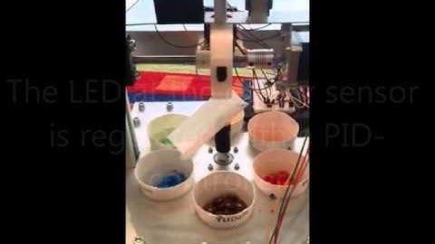 Colour Sorting Machine - WB80