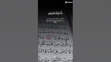قران كريم راحه نفسيه ارح سمعك ❤️🕋