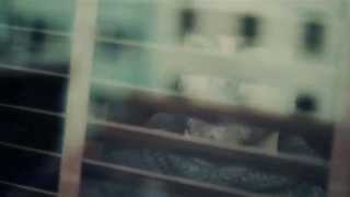 Özgür Akkuş - Resimi