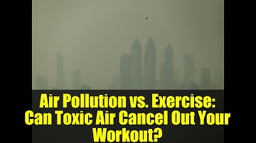 Air Pollution vs. Exercise: Can Toxic Air Cancel Out Your Workout?