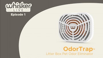 Whisker Live - Episode 1 |  OdorTrap™