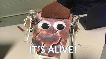 Pipe Climbing Robot Project