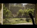 The Last Of Us Inspired Study Ambience | Gentle Breeze &amp; Birdsong | Nature Takes Over |