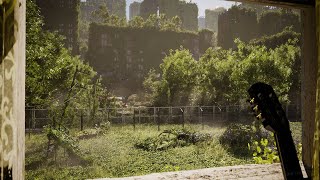 The Last Of Us Inspired Study Ambience | Gentle Breeze & Birdsong | Nature Takes Over |