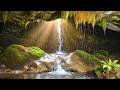 Relaxing Zen Music with Water Sounds • Peaceful Ambience for Spa, Yoga and Relaxation