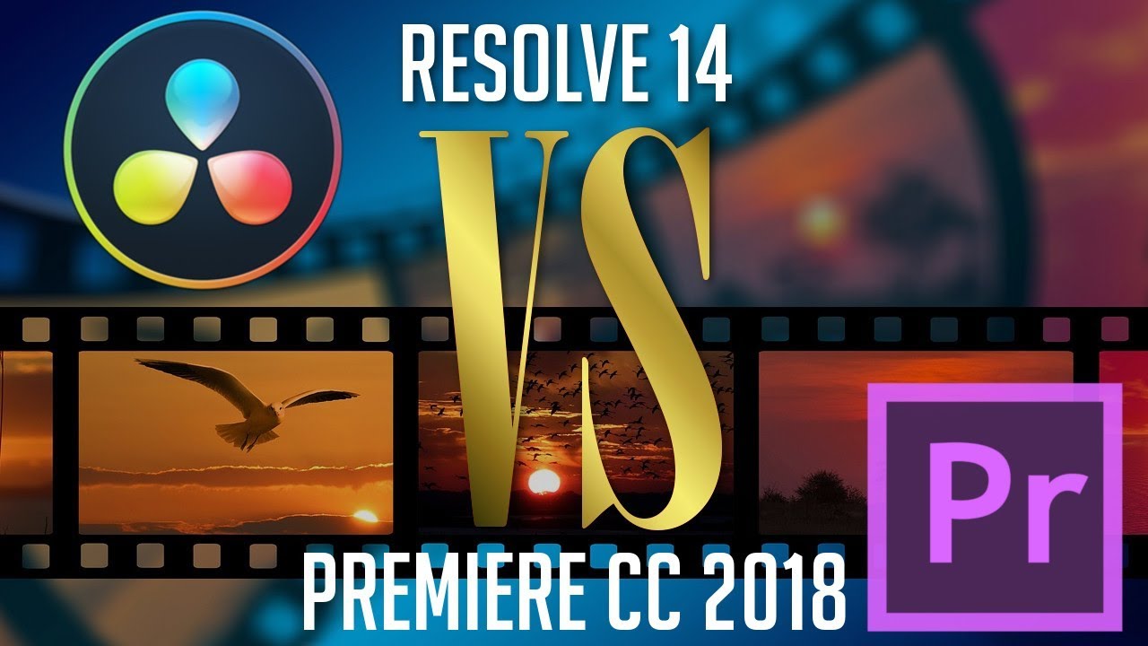 davinci resolve 18 difference between free and paid