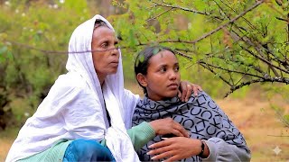  ሰራተኛዋ አደይ ክፍል 228 | Adey Serategna Part 227 Full Recap &amp; Story Summary
