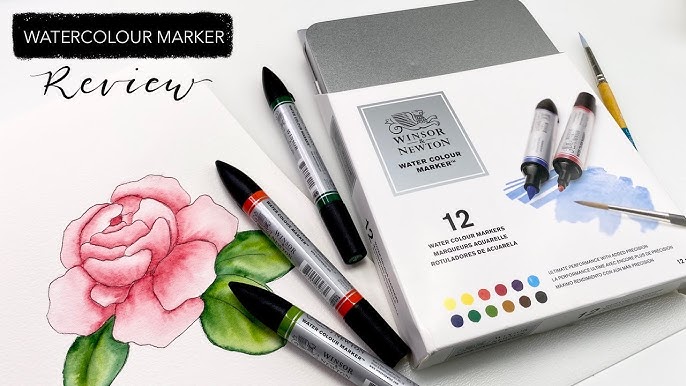  Winsor & Newton ProMarker Watercolor Marker Set, 12 Count,  Basic Tones