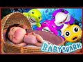 Baby Shark Song Challenge | Banana Cartoon Nursery Rhymes | Cartoon Animation for Children