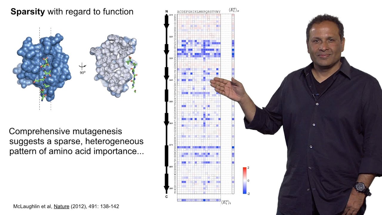 Rama Ranganathan (U. Texas Southwestern) Part 1: What is Protein Design?