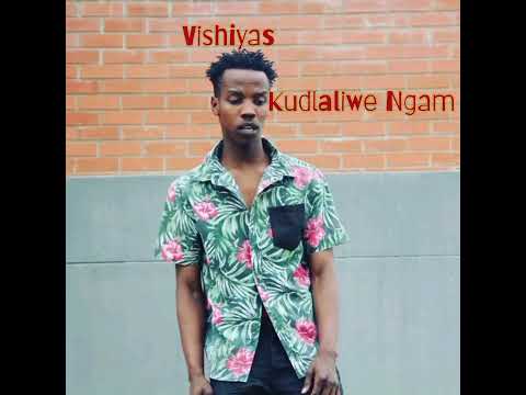 Vishiyas - Kudlaliwe Ngam(Visualizer)