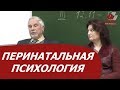 Клиническая перинатальная психология, психопатология, психотерапия